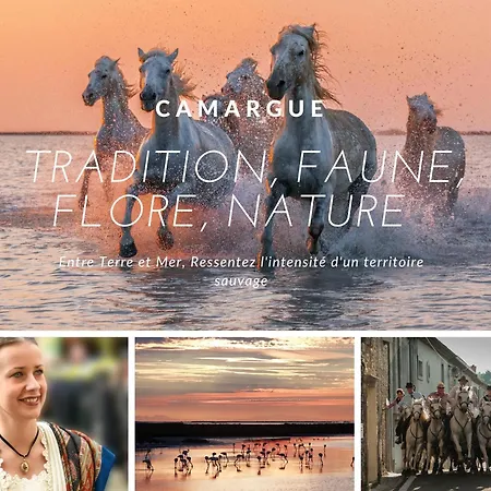 Apartamento Beachfront Cocooning Getaway